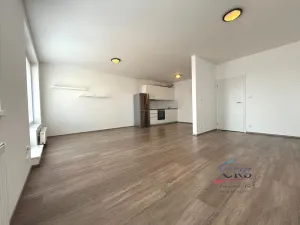 Pronájem bytu 2+kk, Praha - Vysočany, Pod Harfou, 54 m2