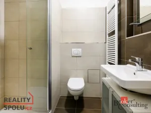 Pronájem bytu 1+kk, Plzeň - Jižní Předměstí, Magisterská, 29 m2
