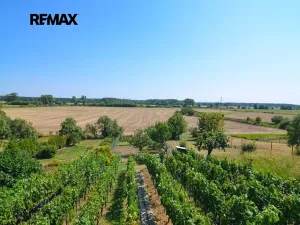 Prodej vinného sklepa, Tvrdonice, 46 m2
