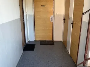 Prodej bytu 2+kk, Louny, Petra Obrovce, 26 m2