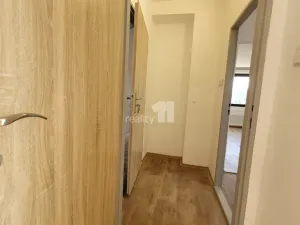 Pronájem bytu 1+1, Týnec nad Labem, Lžovická, 32 m2