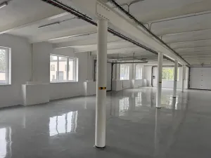Pronájem skladu, Ostrov, 370 m2