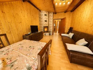 Prodej bytu 2+1, Karlovy Vary, Nebozízek, 62 m2