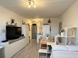Pronájem bytu 2+kk, Most, Františka Malíka, 40 m2