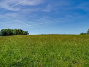 Prodej pozemku pro bydlení, Budislav, 1475 m2