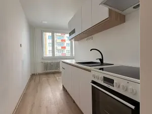 Pronájem bytu 2+1, Písek, nábřeží 1. máje, 64 m2