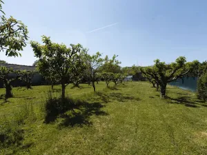 Prodej rodinného domu, Dašice, Nábřeží, 120 m2