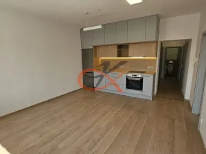 Pronájem bytu 3+kk, Šenov u Nového Jičína, Jeremenkova, 57 m2