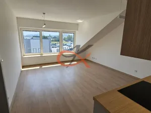 Pronájem atypického bytu, Šenov u Nového Jičína, Jeremenkova, 76 m2