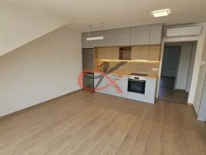 Pronájem atypického bytu, Šenov u Nového Jičína, Jeremenkova, 76 m2
