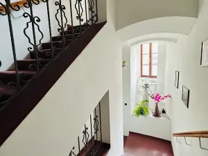 Pronájem apartmánu, Karlovy Vary, Zámecký vrch, 200 m2