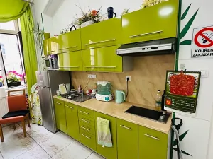 Pronájem apartmánu, Karlovy Vary, Zámecký vrch, 200 m2