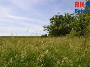 Prodej pozemku pro bydlení, Cholenice, 16365 m2