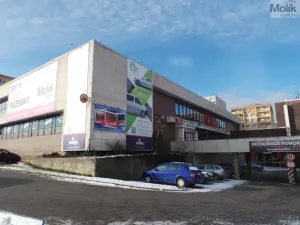 Pronájem kanceláře, Most, Lipová, 37 m2