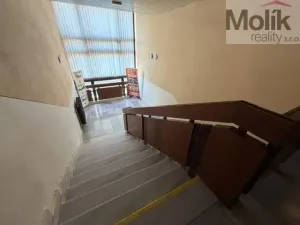 Pronájem kanceláře, Most, Lipová, 48 m2
