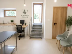 Pronájem kanceláře, Český Těšín, Masarykovy sady, 50 m2