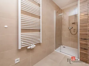 Pronájem bytu 1+kk, Plzeň - Jižní Předměstí, Železná, 34 m2