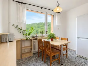 Prodej bytu 3+1, Jirkov, Pionýrů, 78 m2