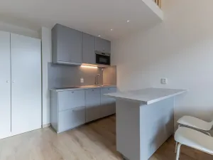 Pronájem bytu 1+kk, Praha - Holešovice, Na Maninách, 27 m2