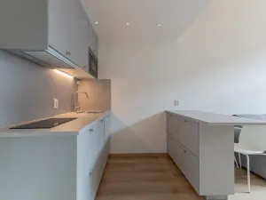 Pronájem bytu 1+kk, Praha - Holešovice, Na Maninách, 27 m2