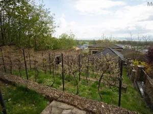 Pronájem rodinného domu, Háj u Duchcova - Domaslavice, Lesní stezka, 160 m2