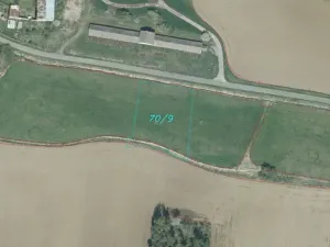 Dražba louky, Srby, 2383 m2