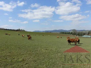 Prodej pozemku pro bydlení, Janovice nad Úhlavou, 7774 m2