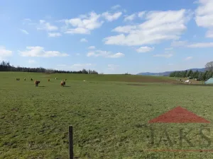 Prodej pozemku pro bydlení, Janovice nad Úhlavou, 7774 m2