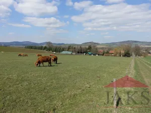 Prodej pozemku pro bydlení, Janovice nad Úhlavou, 7774 m2