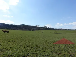 Prodej pozemku pro bydlení, Janovice nad Úhlavou, 4086 m2