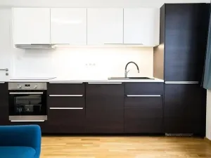 Pronájem bytu 1+kk, Praha - Nusle, U Pernštejnských, 33 m2