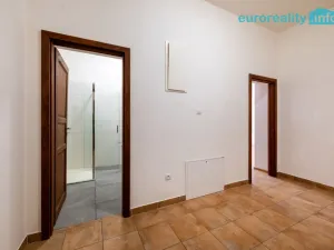 Pronájem bytu 3+kk, Luby, Revoluční, 58 m2