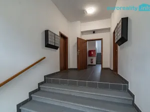 Pronájem bytu 3+kk, Luby, Revoluční, 58 m2