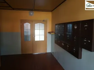 Pronájem bytu 1+1, Cheb, Valdštejnova, 35 m2