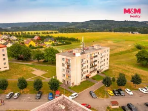 Prodej bytu 2+kk, Seč, Sídl. 9. května, 43 m2