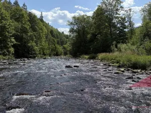 Prodej rodinného domu, Rejštejn - Klášterský Mlýn, 95 m2