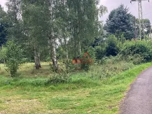 Prodej pozemku pro bydlení, Jindřichovice pod Smrkem, 829 m2