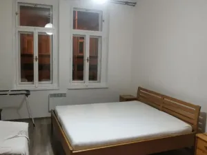 Pronájem bytu 1+1, Praha - Žižkov, 41 m2