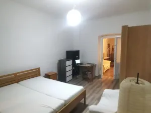 Pronájem bytu 1+1, Praha - Žižkov, 41 m2