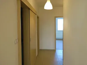 Pronájem bytu 2+kk, Brno, Purkyňova, 56 m2
