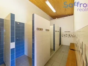 Prodej ubytování, Konstantinovy Lázně, V Aleji, 2252 m2