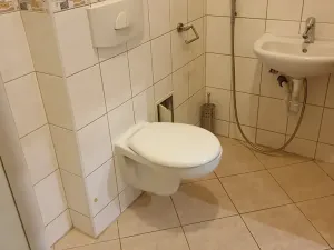 Pronájem bytu 2+1, Teplice, Jankovcova, 72 m2