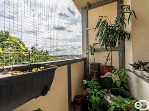 Prodej bytu 3+kk, Praha, Bohúňova, 61 m2