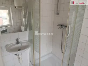 Pronájem bytu 1+kk, Praha - Michle, Týmlova, 20 m2