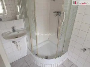 Pronájem bytu 1+kk, Praha - Michle, Týmlova, 20 m2