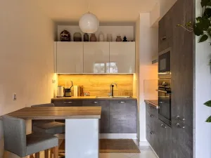 Pronájem bytu 2+kk, Praha - Žižkov, Olšanská, 50 m2