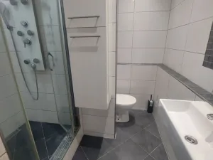 Pronájem bytu 2+1, Olomouc - Nové Sady, Werichova, 44 m2