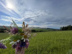 Prodej pozemku pro bydlení, Blovice, 1185 m2