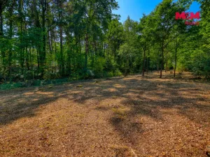 Prodej zahrady, Velký Bor - Slivonice, 2248 m2