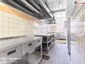 Prodej komerční nemovitosti, Ústí nad Labem - Předlice, Hrbovická, 350 m2